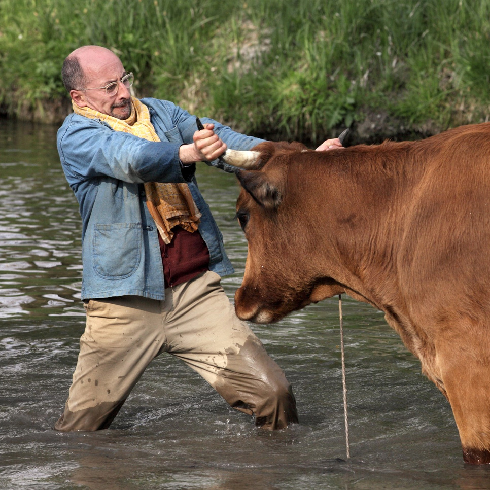 Visuel de "La vache"