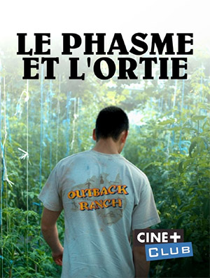 Affiche de Le Phasme et l'ortie